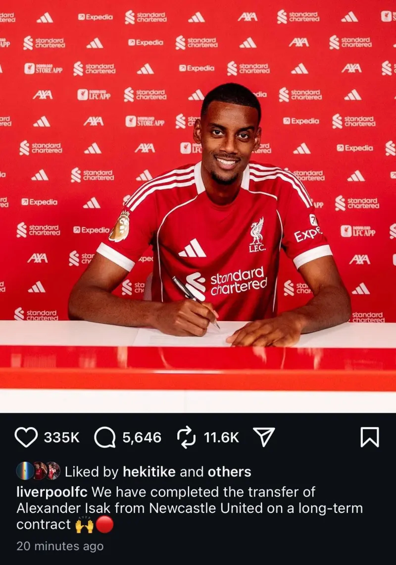 他都没有输, 自信塑造也, com 他都没有输, 自信塑造也, com