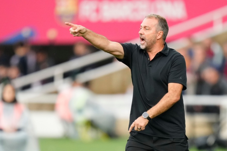 他们很可能 他们很可能